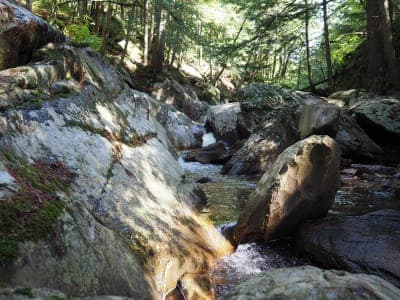 Silver Lake Trails
