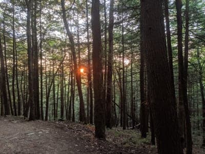 Silver Lake Trails