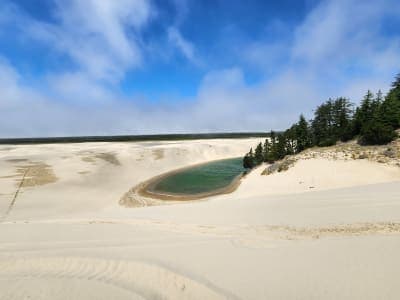 Siuslaw National Forest