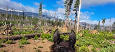 Sisters Cow Camp Horse Camp