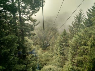 Six Rivers National Forest
