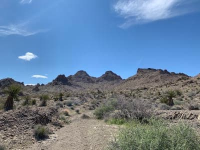 Sloan Canyon National Conservation Area