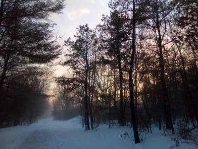 Southern New England Trunkline Trail