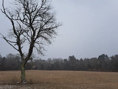 South Farm Preserve