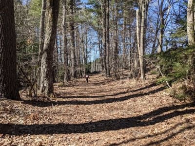Spencer State Forest