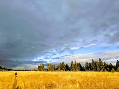 Spokane River Centennial State Park Trail