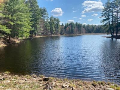 Spencer State Forest