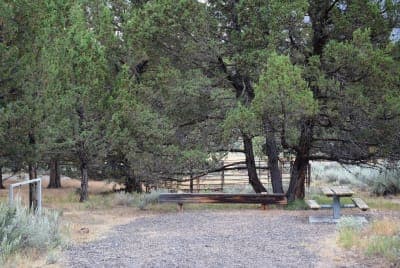 South Steens Campground