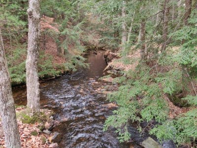Spencer State Forest