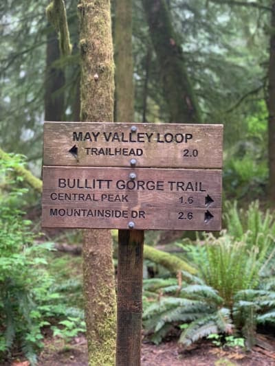Squak Mountain State Park