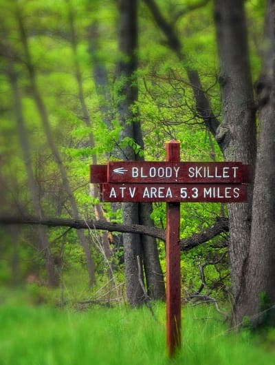 Sproul State Forest