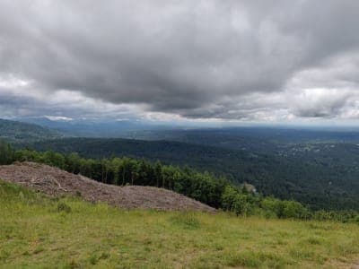 Squak Mountain State Park