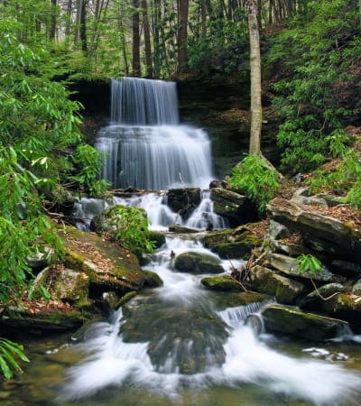 Sproul State Forest
