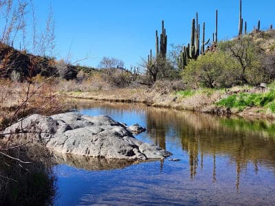 Spur Cross Ranch Conservation Area