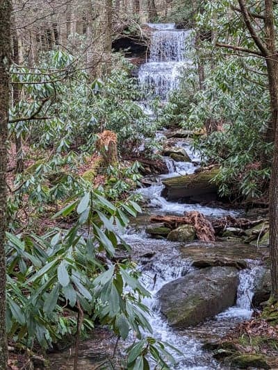 Sproul State Forest