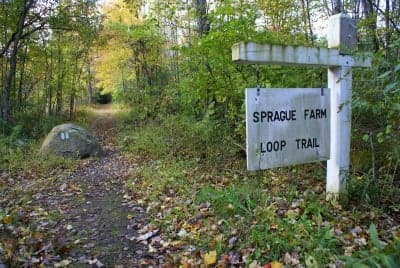 Sprague Farm