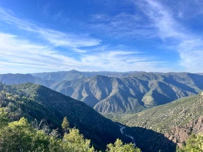 Stanislaus National Forest