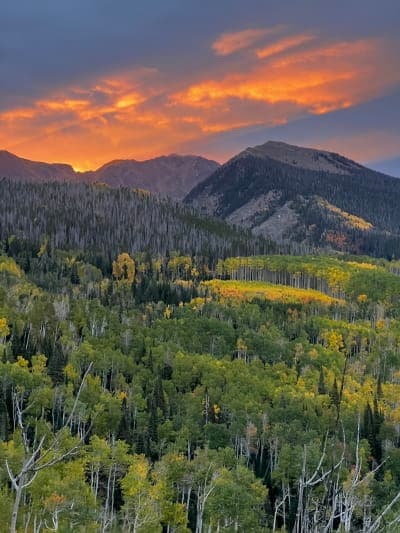 State Forest State Park