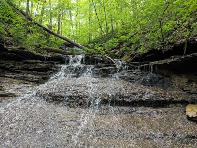Standing Stone State Park