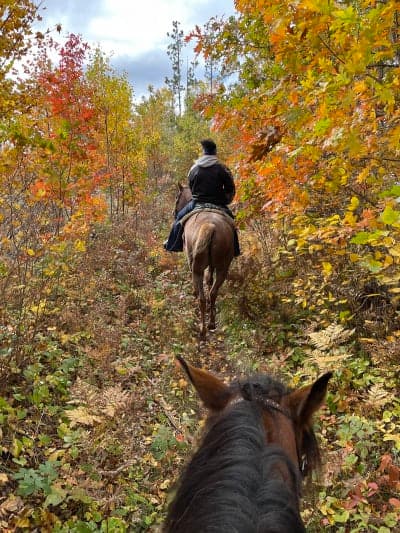 St. Croix State Forest / Tamarack River Horse Campground