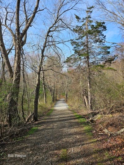 Steere Hill Farm Conservation Area