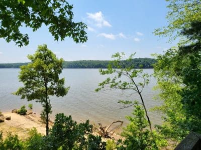 Staunton River State Park