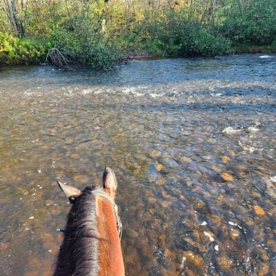 St. Croix State Forest / Tamarack River Horse Campground