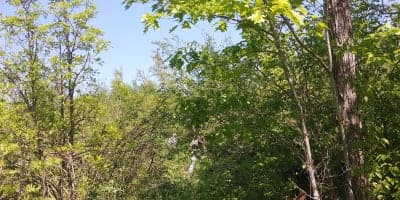 St. Croix State Forest / Tamarack River Horse Campground