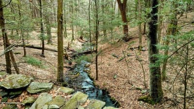 Steere Hill Farm Conservation Area