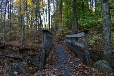 Steere Hill Farm Conservation Area