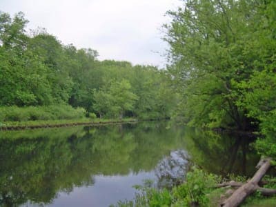 Stephens State Park