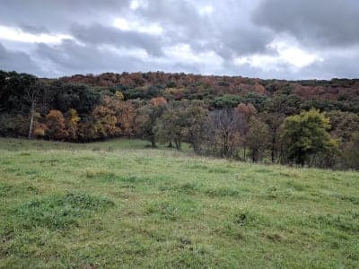 Stephens State Forest