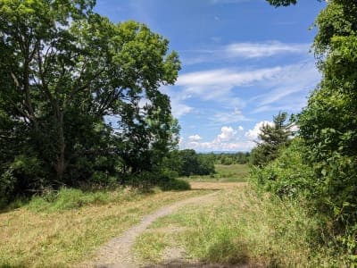 Stewart State Forest