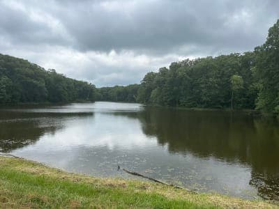 Stephens State Forest