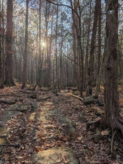 St. Francois State Park