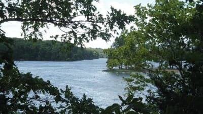 Stephen A. Forbes State Recreation Area