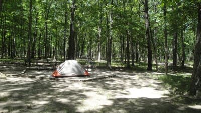 Stephen A. Forbes State Recreation Area