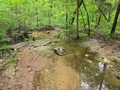 St. Francois State Park