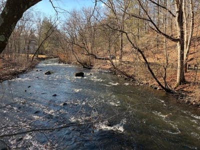 Stephens State Park