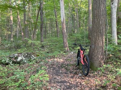 Stephens State Park