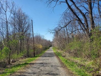 Stewart State Forest