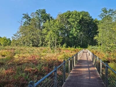 Stewart State Forest