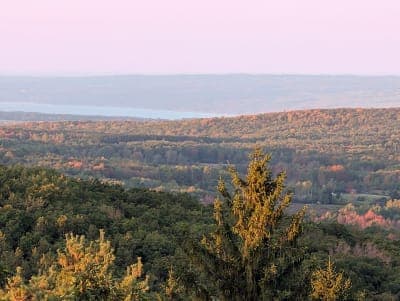 Sugar Hill State Forest