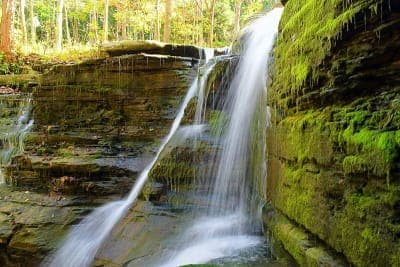 Sugar Hill State Forest