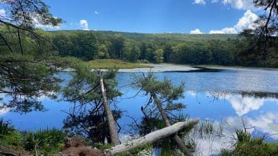 Stokes State Forest