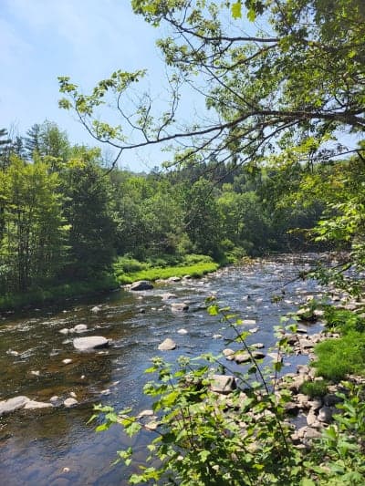 Sugar River Recreational Rail Trail