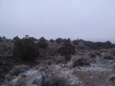 Sun Valley Regional Park