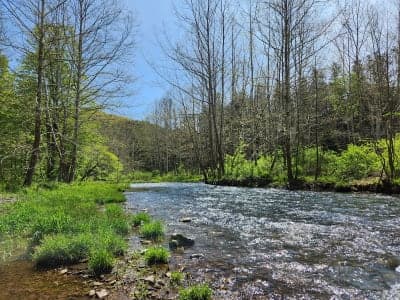 Susquehannock State Forest