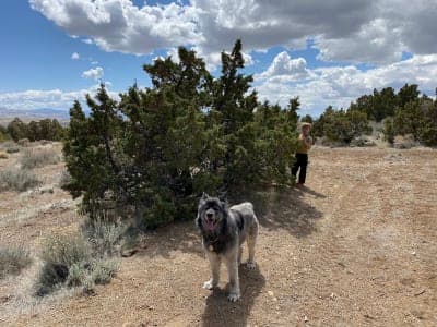 Sun Valley Regional Park