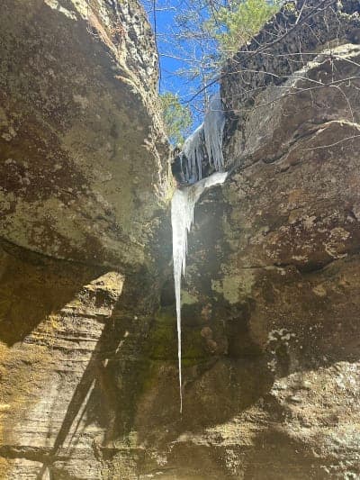 Sylamore Ranger District Horse Trails